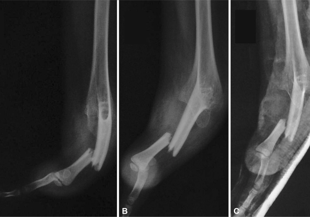 872782a9257798b176f4585dd0ab046761a1e779 (2)