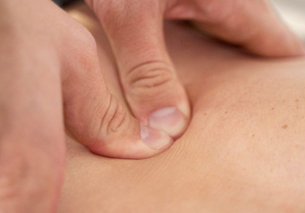 Tendon Adhesion Release