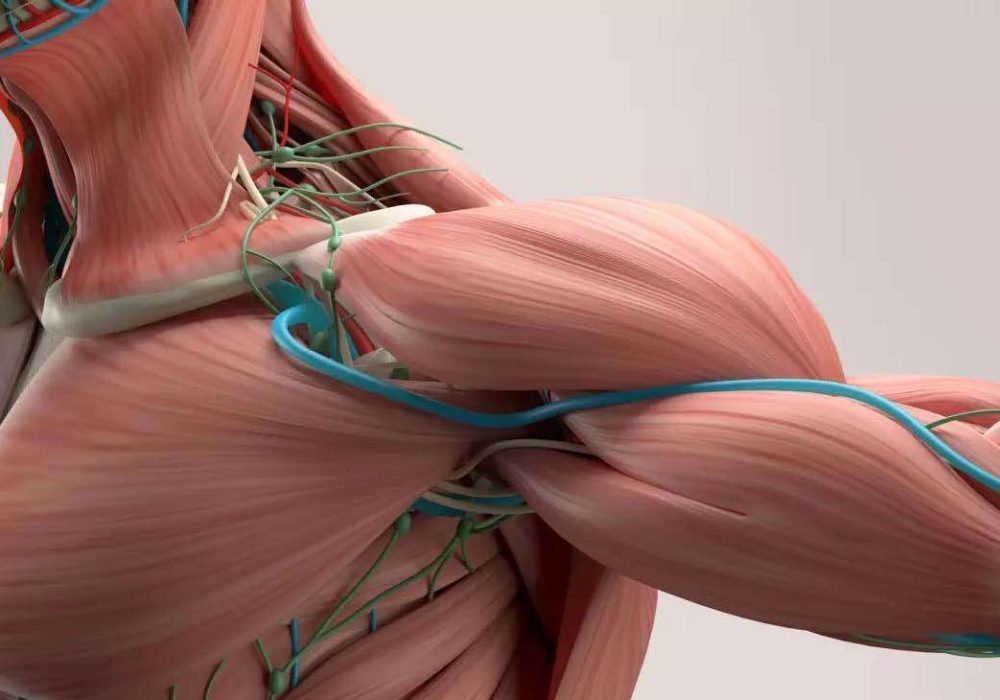 What-is-thoracic-outlet-syndrome_