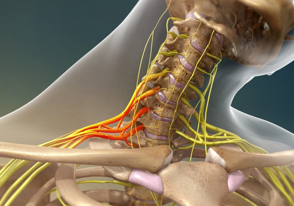 burnersstingers_1280